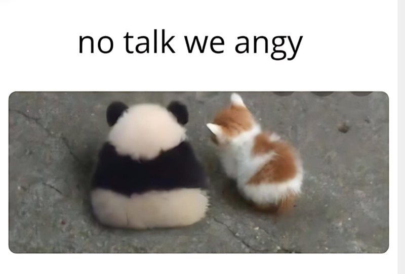 no talk we angy