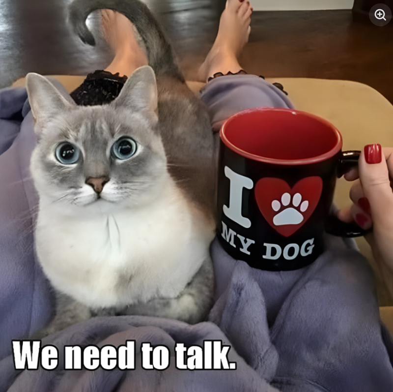 H MY DOG We need to talk.