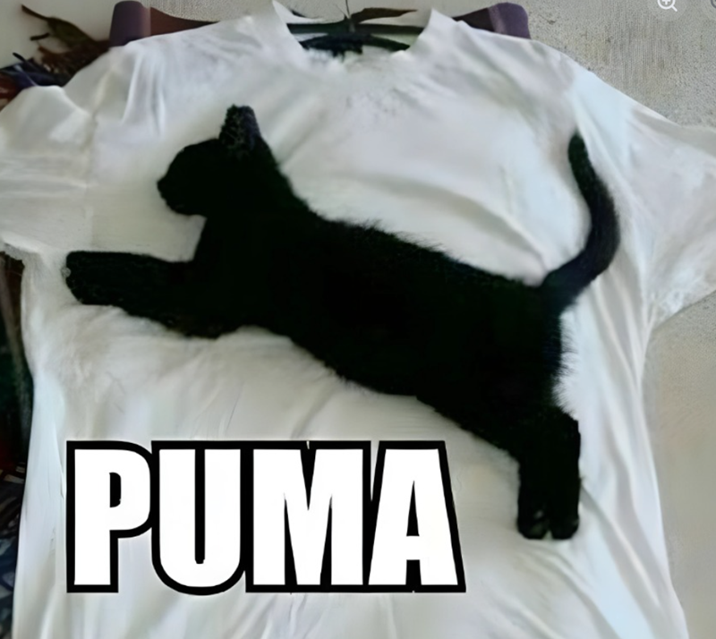 PUMA