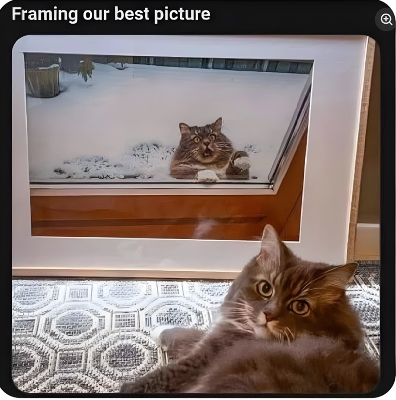Framing our best picture ク