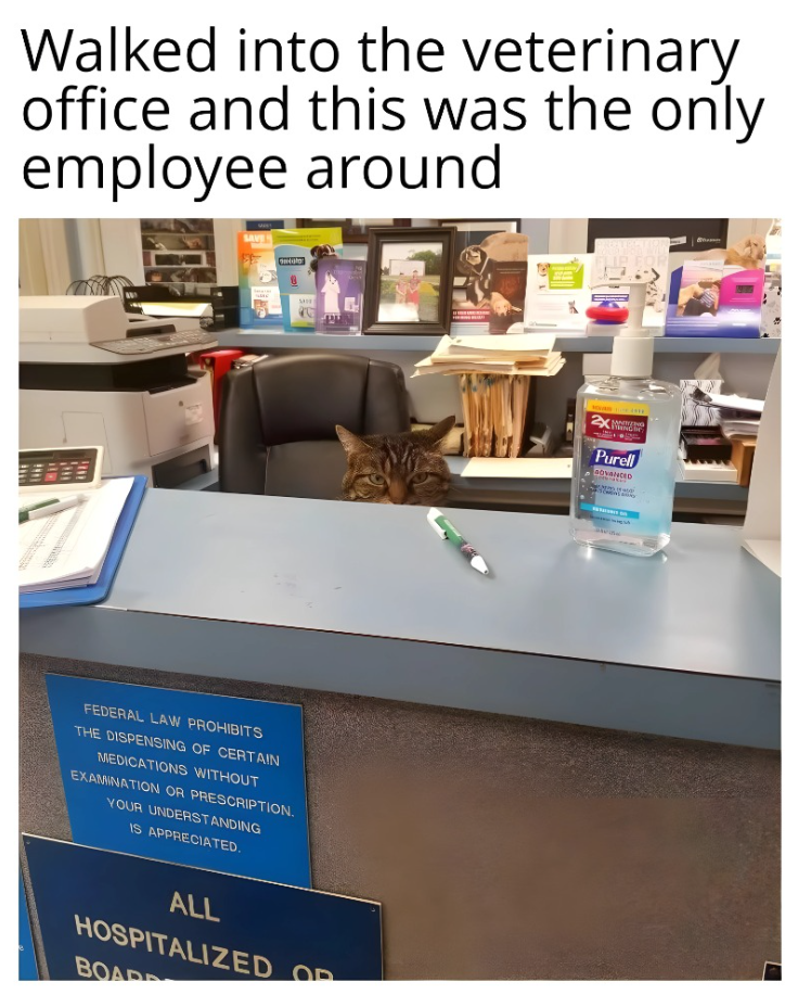 Walked into the veterinary office and this was the only employee around SAVE FEDERAL LAW PROHIBITS THE DISPENSING OF CERTAIN MEDICATIONS WITHOUT EXAMINATION OR PRESCRIPTION. YOUR UNDERSTANDING IS APPRECIATED. ALL HOSPITALIZED OR BOAR 2X MNWING Purell GOVANCED