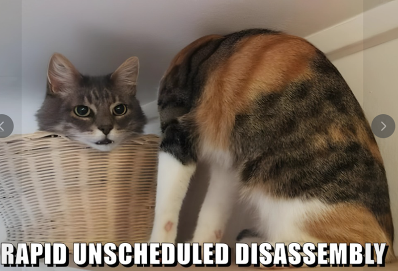 RAPID UNSCHEDULED DISASSEMBLY
