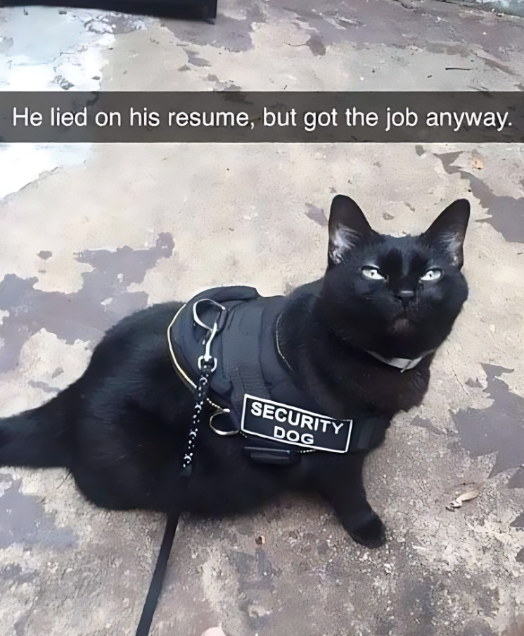 He lied on his resume, but got the job anyway. SECURITY DOG
