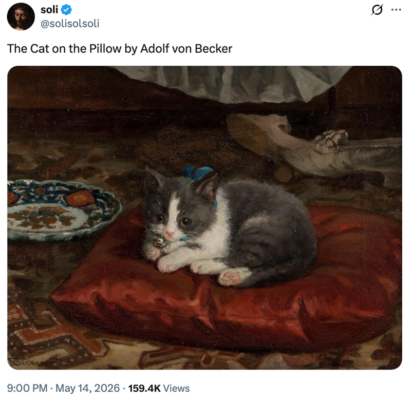 soli @solisolsoli The Cat on the Pillow by Adolf von Becker 9:00 PM - May 14, 2026 159.4K Views Q