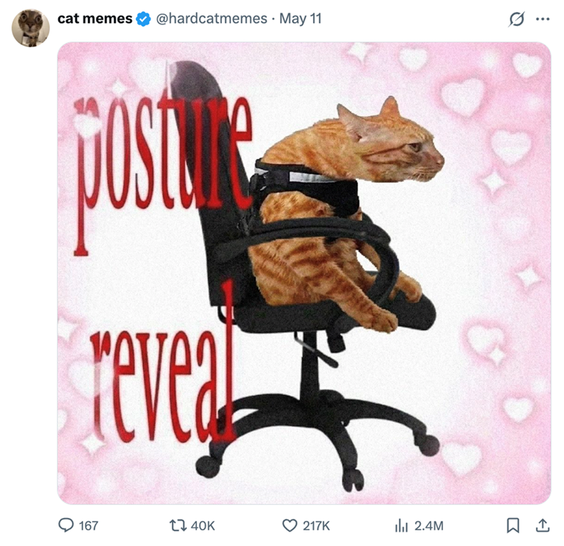 cat memes @hardcatmemes • May 11 ... posture revea Q167 40K 217K ili 2.4M