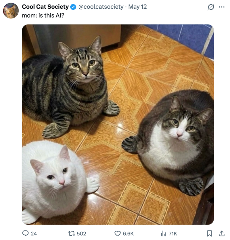 Cool Cat Society mom: is this Al? @coolcatsociety. May 12 ... 24 24 17502 6.6K 71K ធ,