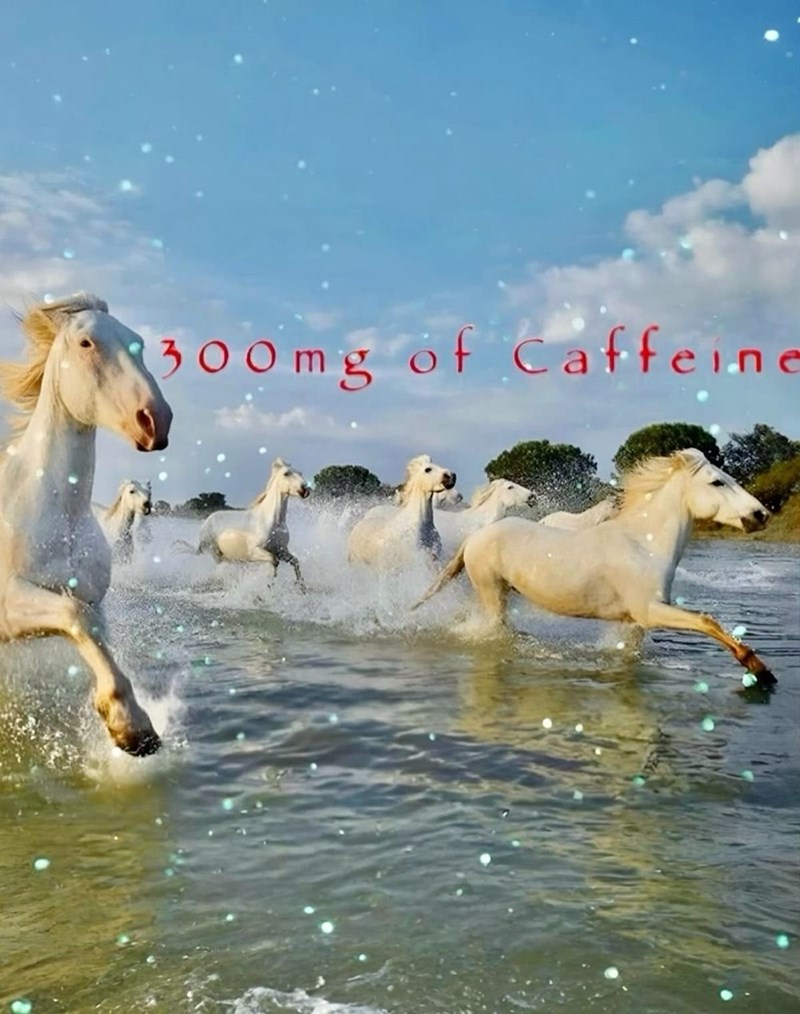 300mg of Caffeine