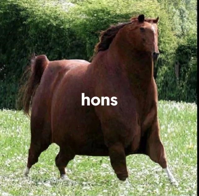 hons
