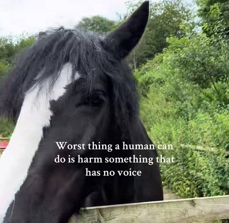 Worst thing a human can do is harm something that has no voice