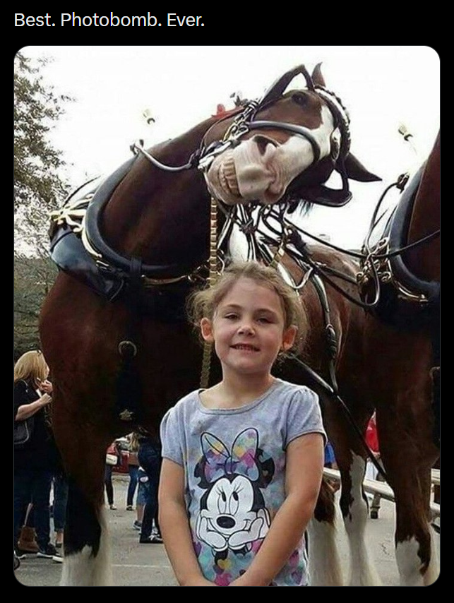 Best. Photobomb. Ever.