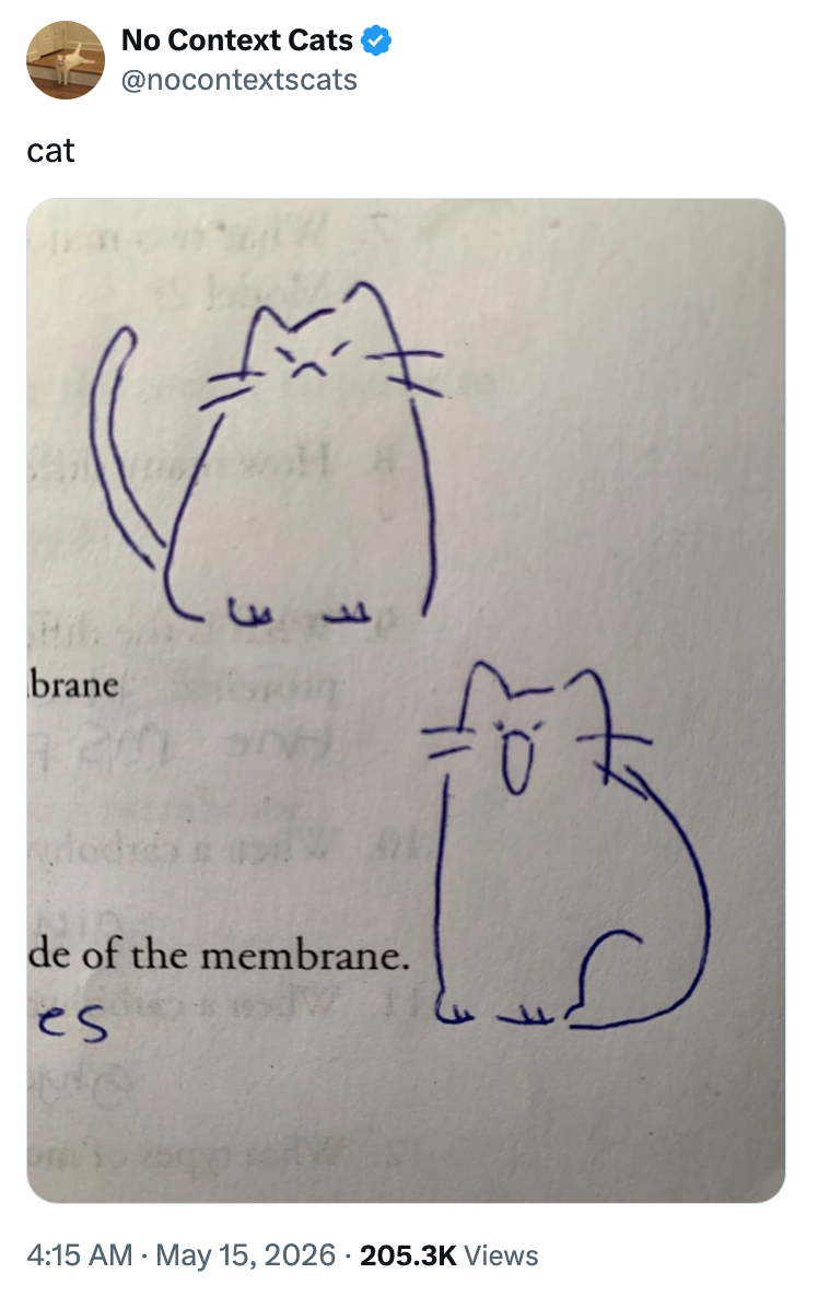cat No Context Cats @nocontextscats brane 20 de of the membrane. es V 4:15 AM May 15, 2026 205.3K Views