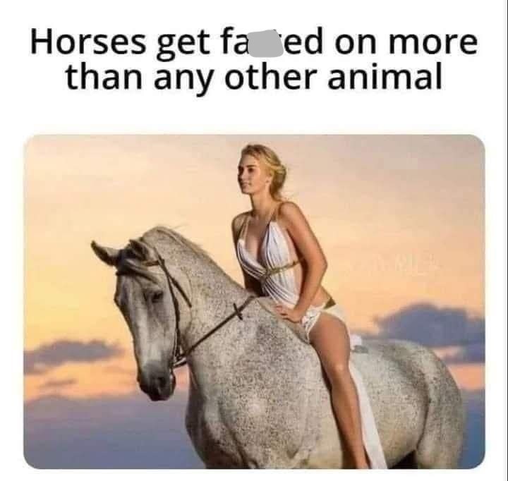 Horses get faced on more than any other animal