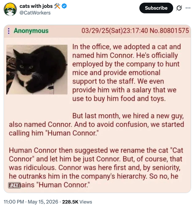 cats with jobs ♥ @CatWorkers Subscribe Anonymous 03/29/25(Sat)23:17:40 No.80801575 In the office, we adopted a cat and named him Connor. He's officially employed by the company to hunt mice and provide emotional support to the staff. We even provide him with a salary that we use to buy him food and toys. But last month, we hired a new guy, also named Connor. And to avoid confusion, we started calling him "Human Connor." Human Connor then suggested we rename the cat "Cat Connor" and let him be ju
