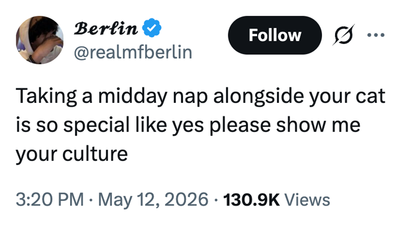 Berlin @realmfberlin Follow 0 Taking a midday nap alongside your cat is so special like yes please show me your culture • • 3:20 PM ⚫ May 12, 2026 130.9K Views