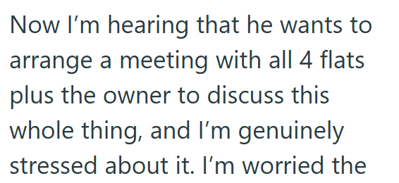 Now I'm hearing that he wants to arrange a meeting with all 4 flats plus the owner to discuss this whole thing, and I'm genuinely stressed about it. I'm worried the