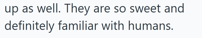 up as well. They are so sweet and definitely familiar with humans.