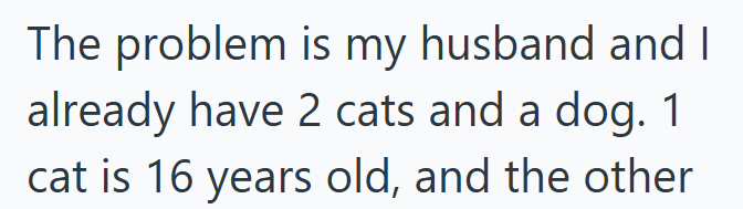 The problem is my husband and I already have 2 cats and a dog. 1 cat is 16 years old, and the other