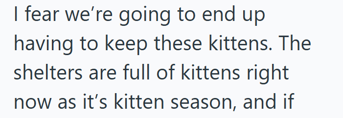 I fear we're going to end up having to keep these kittens. The shelters are full of kittens right now as it's kitten season, and if