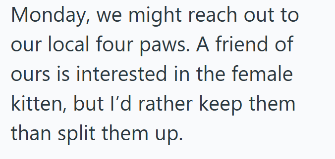Monday, we might reach out to our local four paws. A friend of ours is interested in the female kitten, but I'd rather keep them than split them up.