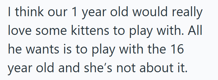 I think our 1 year old would really love some kittens to play with. All he wants is to play with the 16 year old and she's not about it.