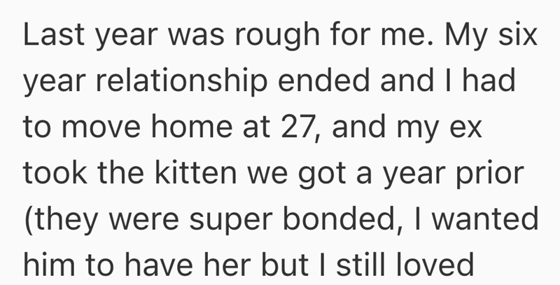 Last year was rough for me. My six year relationship ended and I had to move home at 27, and my ex took the kitten we got a year prior (they were super bonded, I wanted him to have her but I still loved
