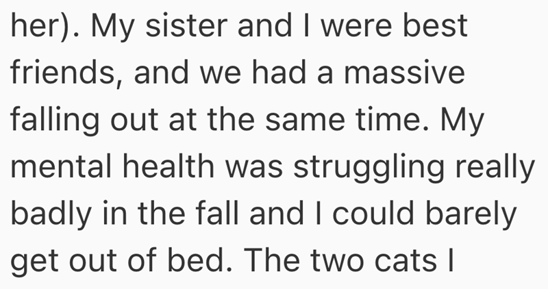 her). My sister and I were best friends, and we had a massive falling out at the same time. My mental health was struggling really badly in the fall and I could barely get out of bed. The two cats |