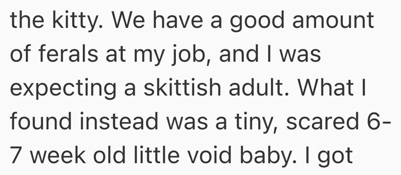 the kitty. We have a good amount of ferals at my job, and I was expecting a skittish adult. What I found instead was a tiny, scared 6- 7 week old little void baby. I got