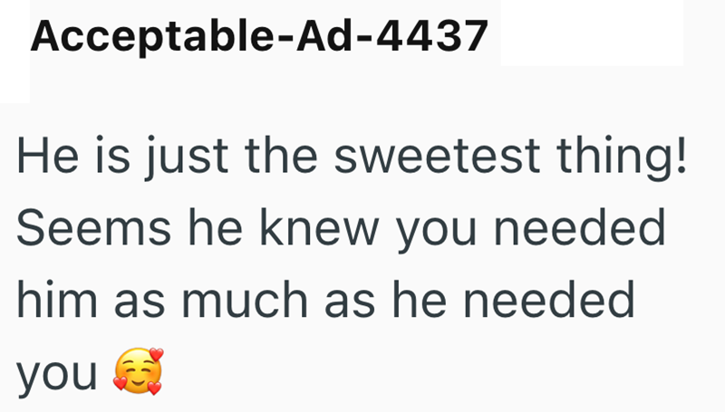 Acceptable-Ad-4437 He is just the sweetest thing! Seems he knew you needed him as much as he needed you