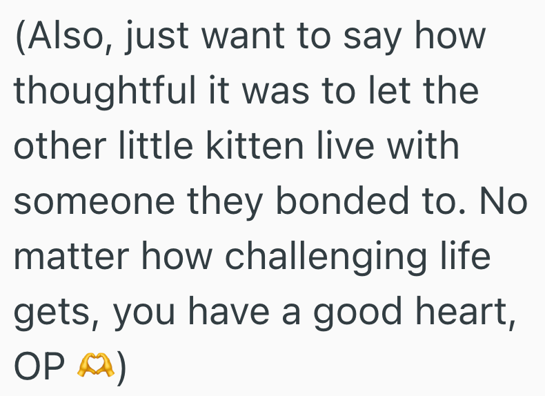 (Also, just want to say how thoughtful it was to let the other little kitten live with someone they bonded to. No matter how challenging life. gets, you have a good heart, OP)