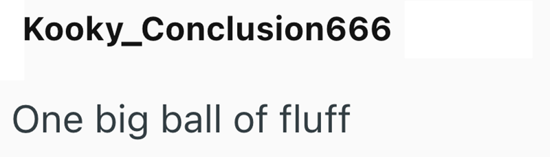 Kooky_Conclusion666 One big ball of fluff