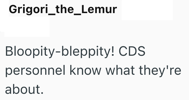 Grigori_the_Lemur Bloopity-bleppity! CDS personnel know what they're about.