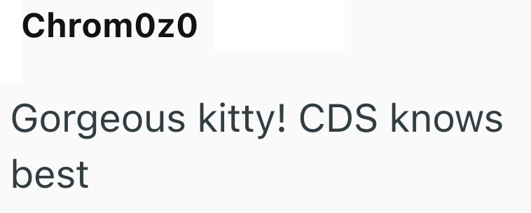 Chromozo Gorgeous kitty! CDS knows. best