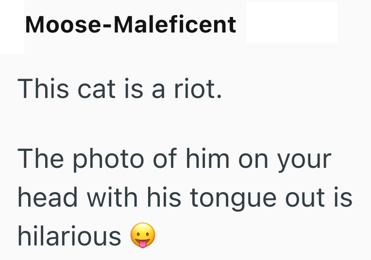Moose-Maleficent This cat is a riot. The photo of him on your head with his tongue out is hilarious