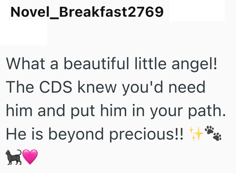 Novel_Breakfast2769 What a beautiful little angel! The CDS knew you'd need him and put him in your path. He is beyond precious!!