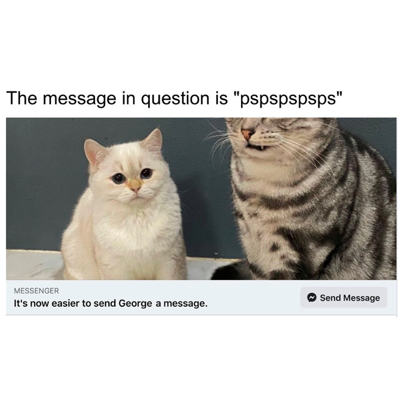 The message in question is "pspspspsps" MESSENGER Send Message It's now easier to send George a message.