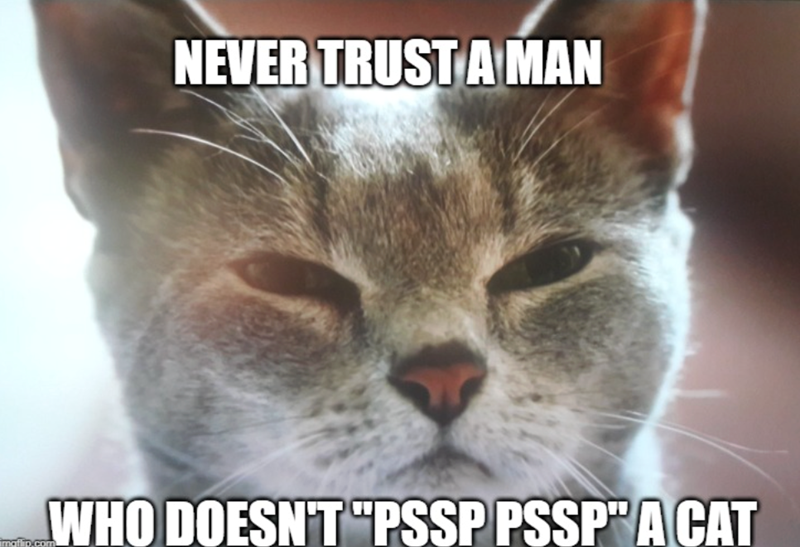 NEVER TRUST A MAN WHO DOESN'T "PSSP PSSP" A CAT