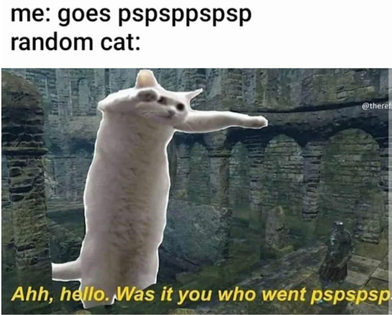 me: goes pspsppspsp random cat: @theref Ahh, hello. Was it you who went pspspsp