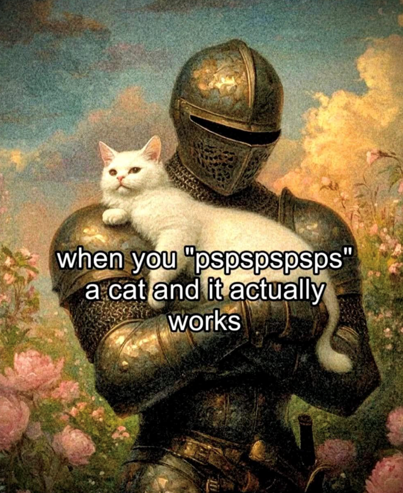 when you "pspspspsps" a cat and it actually works