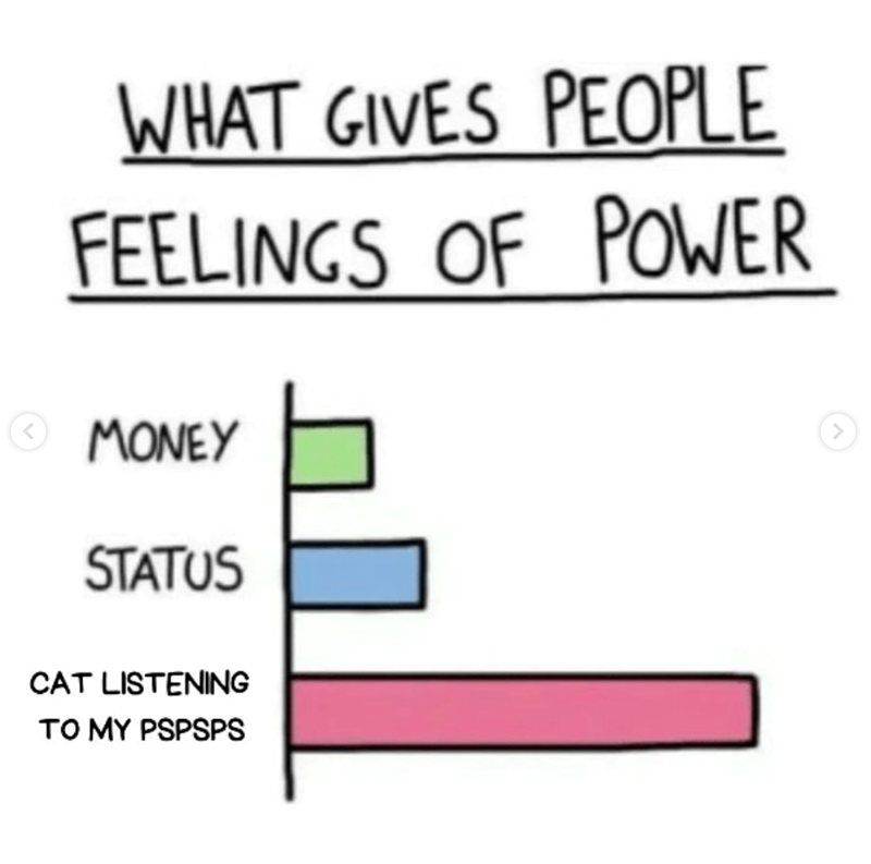 < WHAT GIVES PEOPLE FEELINGS OF POWER MONEY STATUS CAT LISTENING TO MY PSPSPS