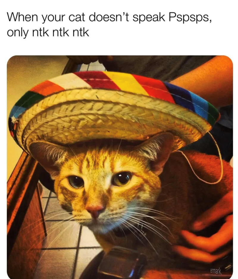 When your cat doesn't speak Pspsps, only ntk ntk ntk ermark.