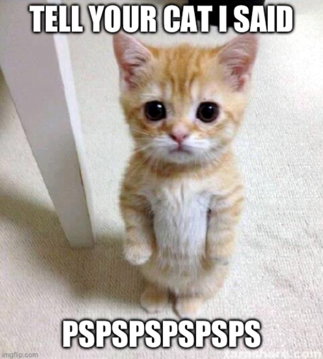 TELL YOUR CAT I SAID imgflip.com PSPSPSPSPSPS