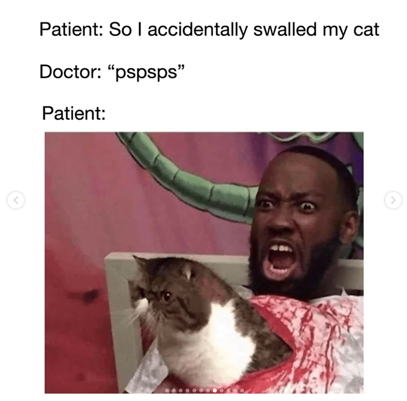 Patient: So I accidentally swalled my cat Doctor: "pspsps" Patient: L >
