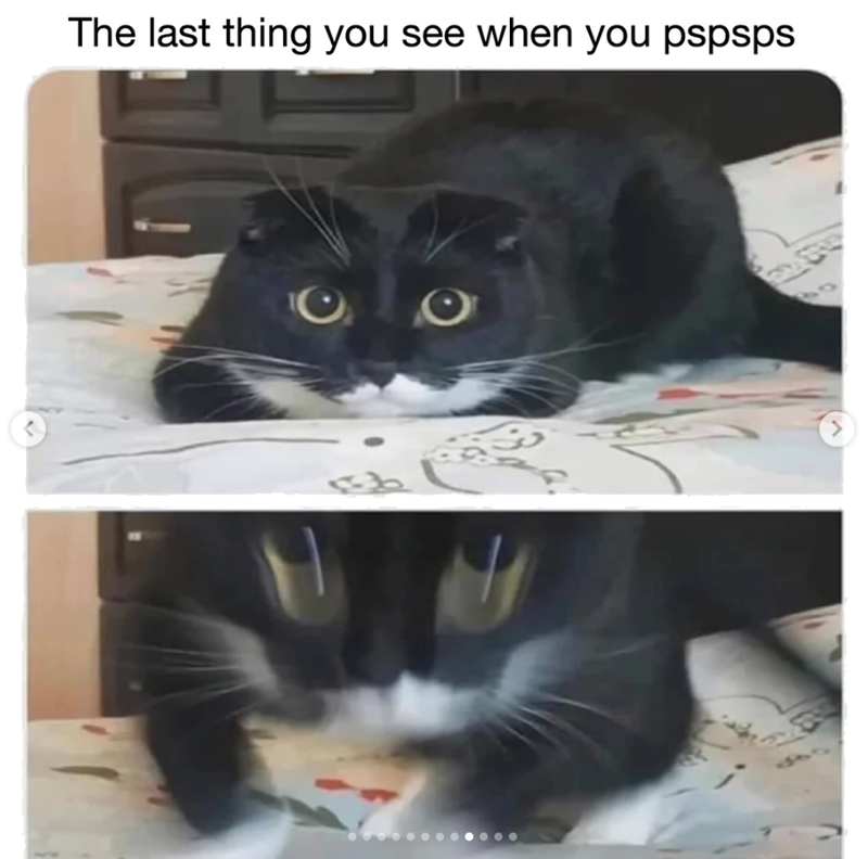 The last thing you see when you pspsps