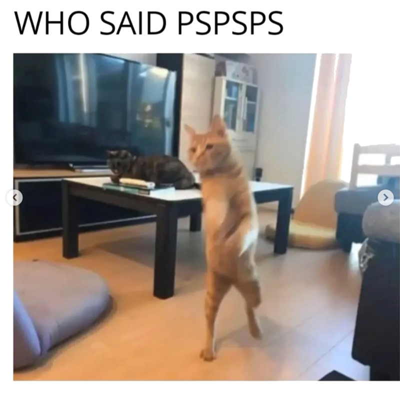 WHO SAID PSPSPS >