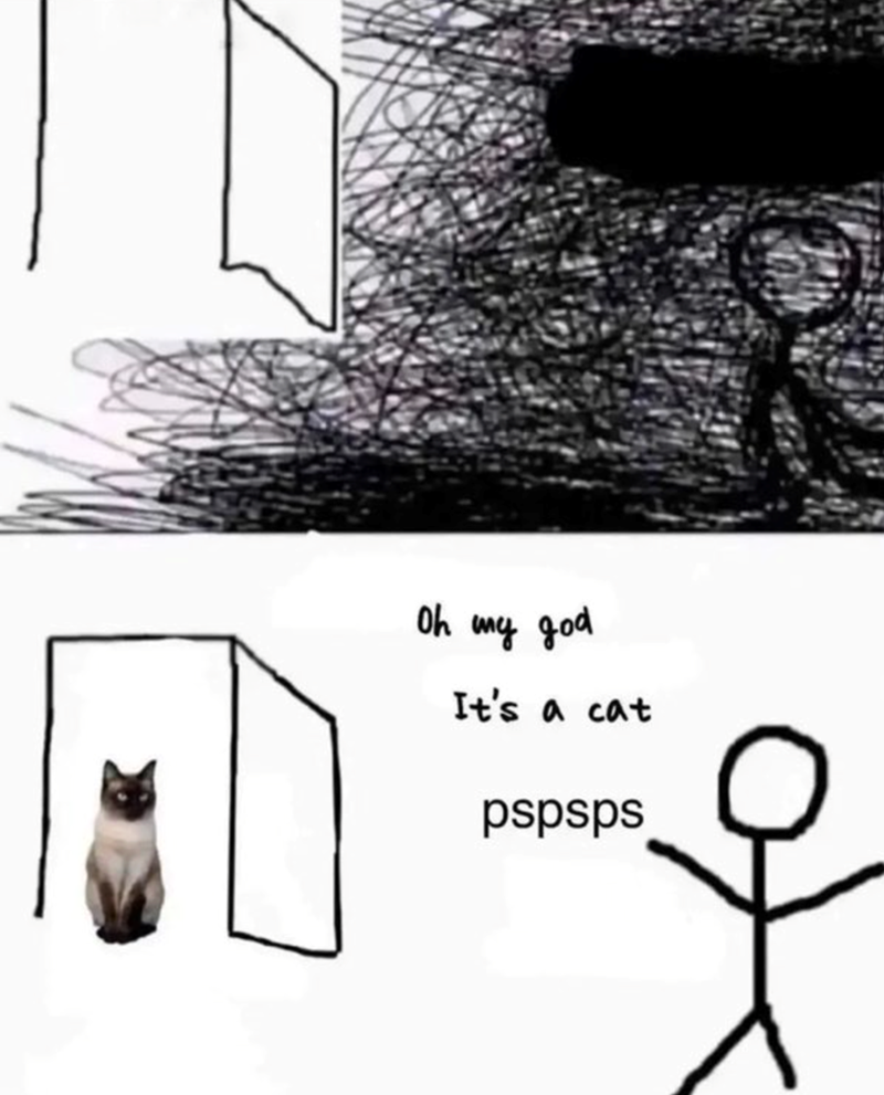 Oh my god It's a cat pspsps