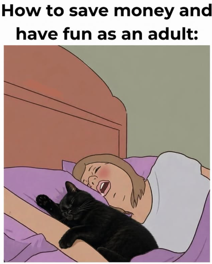 How to save money and have fun as an adult: