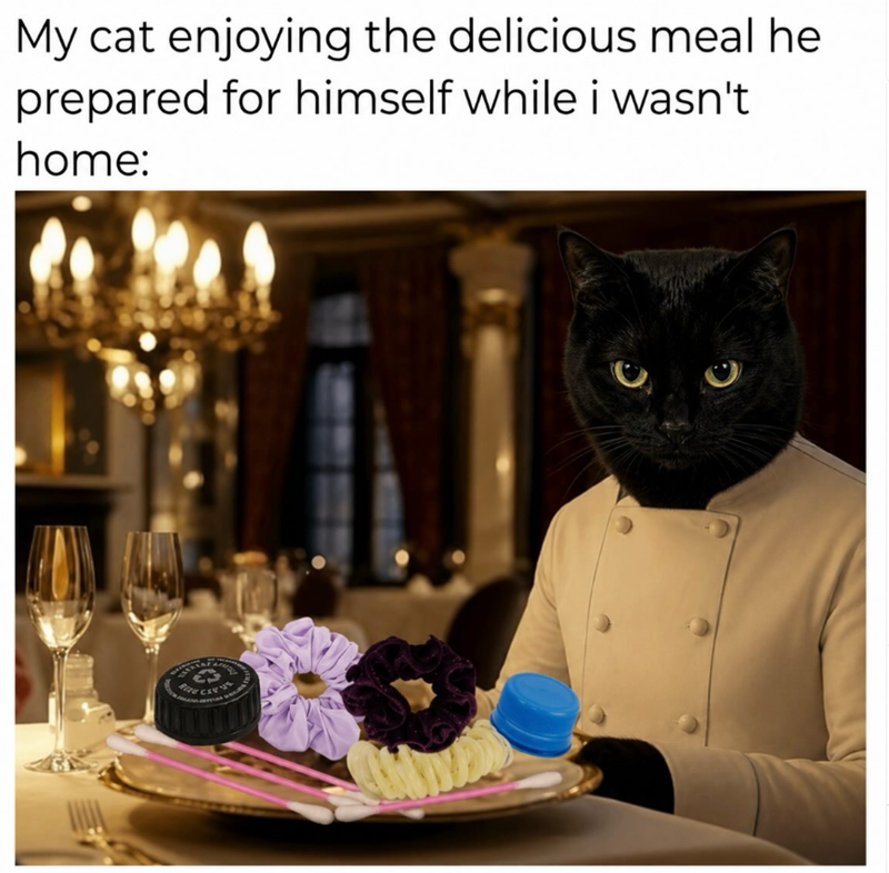 My cat enjoying the delicious meal he prepared for himself while i wasn't home: