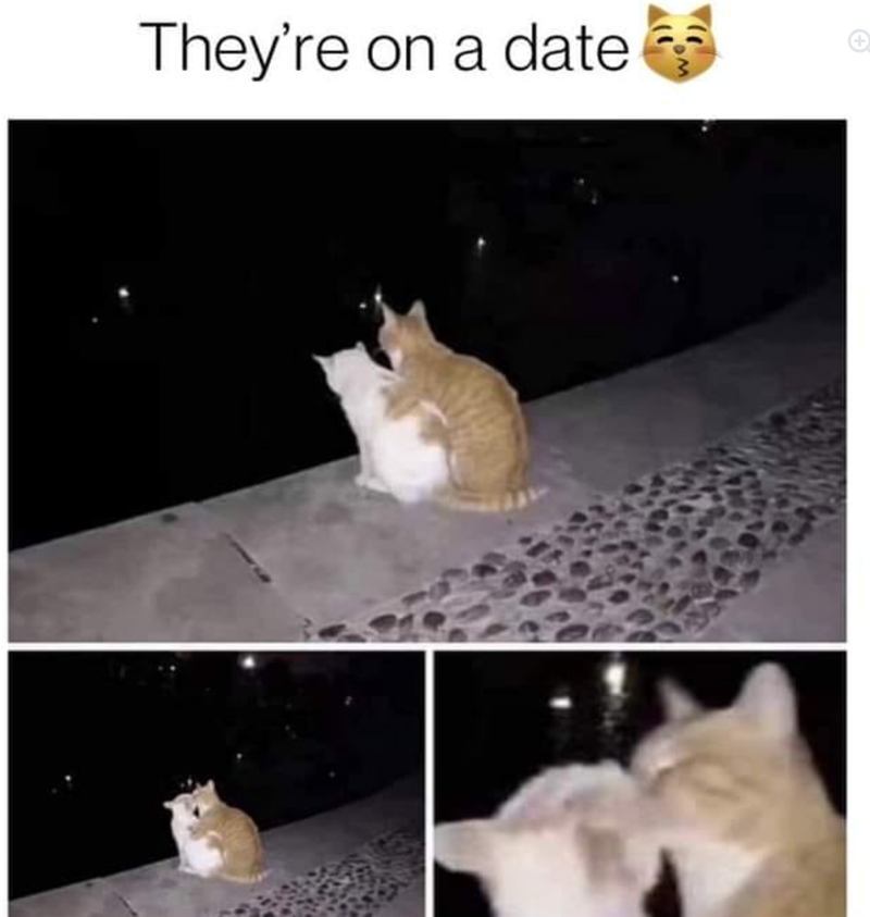 They're on a date