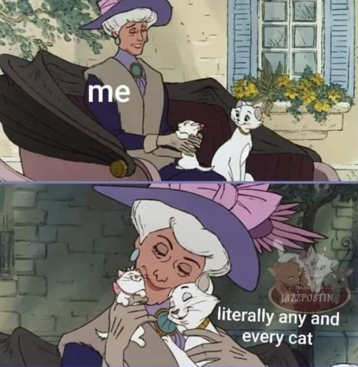 me JAZZPOSTIN literally any and every cat