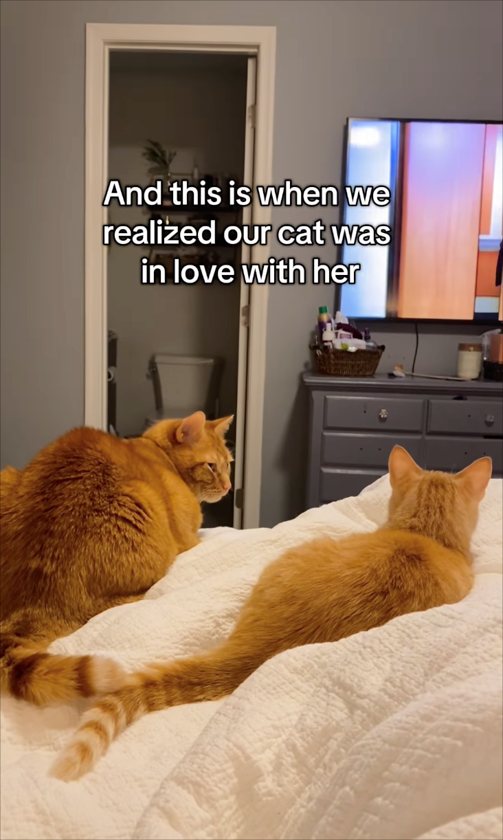 And this is when we realized our cat was in love with her
